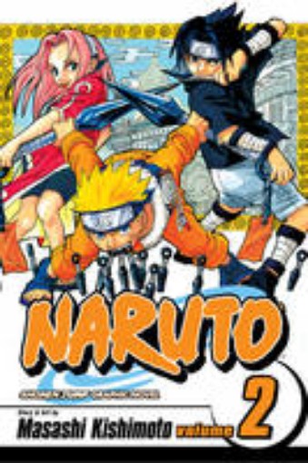Picture of Naruto, Vol. 2