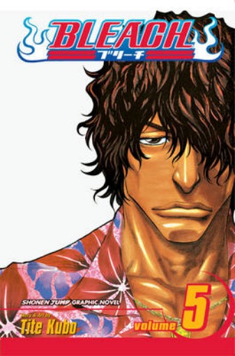 Picture of Bleach, Vol. 5