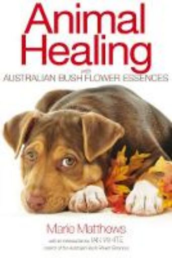 Picture of Animal Healing with Australian Bush Flower Essences
