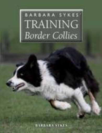 Picture of Barbara Sykes' Training Border Collies