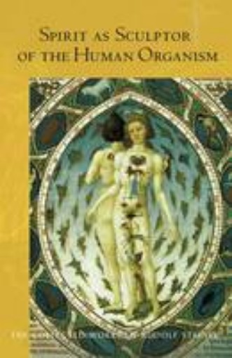 Picture of Spirit as Sculptor of the Human Organism