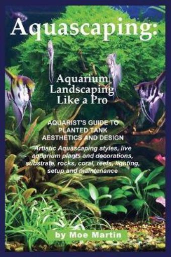 Picture of Aquascaping