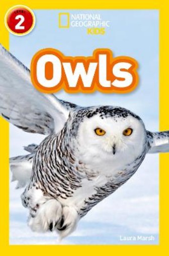 Picture of Owls