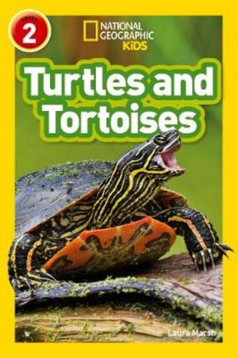 Picture of Turtles and Tortoises