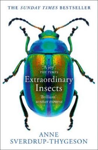 Picture of Extraordinary Insects