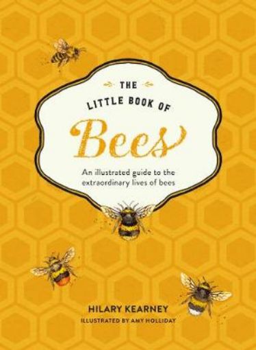 Picture of Little Book of Bees