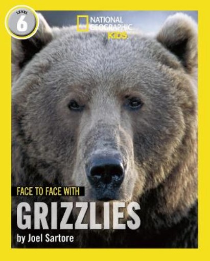 Picture of Face to Face with Grizzlies