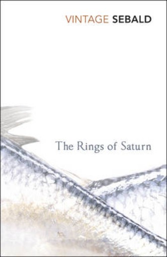 Picture of Rings of Saturn