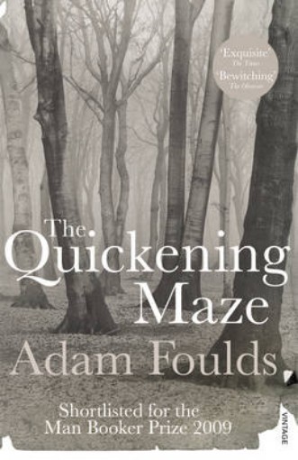 Picture of Quickening Maze