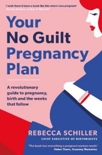 Picture of Your No Guilt Pregnancy Plan