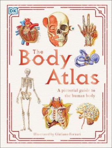 Picture of Body Atlas
