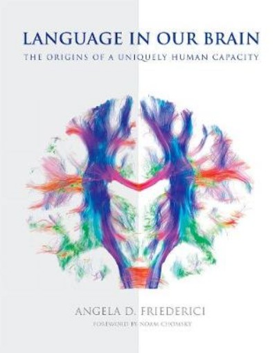 Picture of Language in Our Brain
