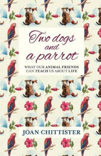 Picture of Two Dogs Parrot