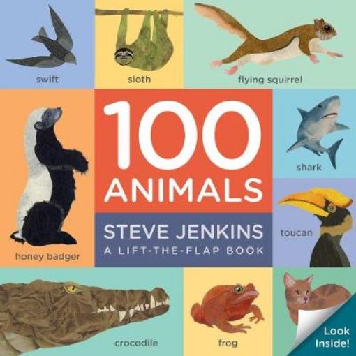 Picture of 100 Animals Board Book: Lift-the-Flap