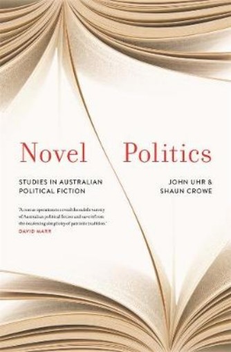 Picture of Novel Politics