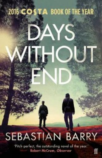 Picture of Days Without End