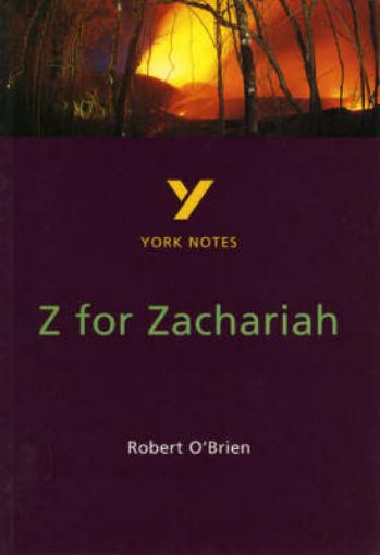 Picture of Z for Zachariah
