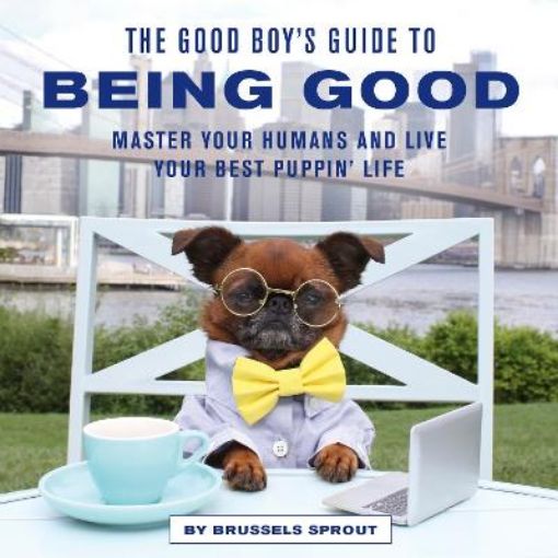 Picture of Good Boy's Guide to Being Good