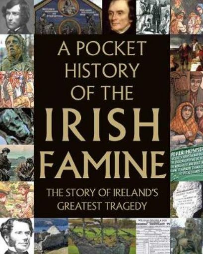 Picture of Pocket History of the Irish Famine