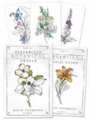 Picture of Hedgewitch Botanical Oracle