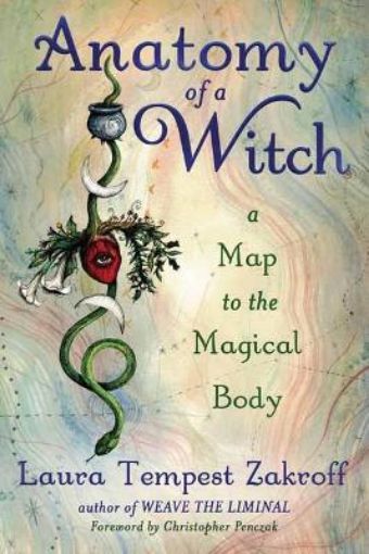 Picture of Anatomy of a Witch