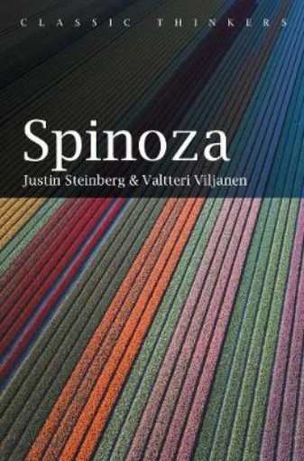 Picture of Spinoza