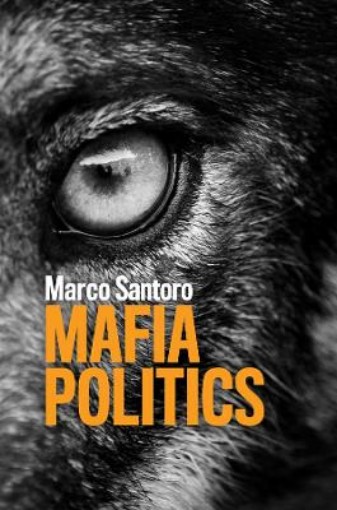 Picture of Mafia Politics