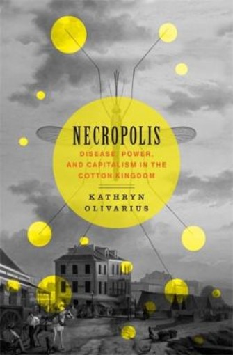 Picture of Necropolis