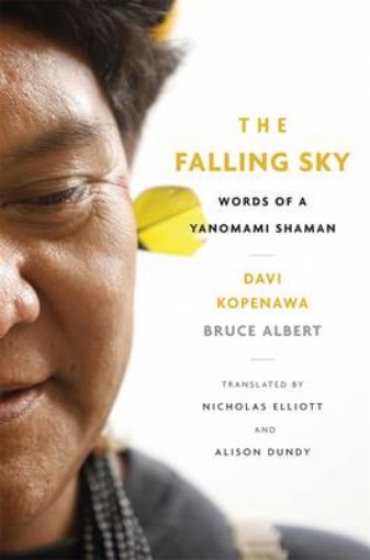 Picture of Falling Sky