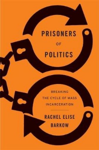 Picture of Prisoners of Politics