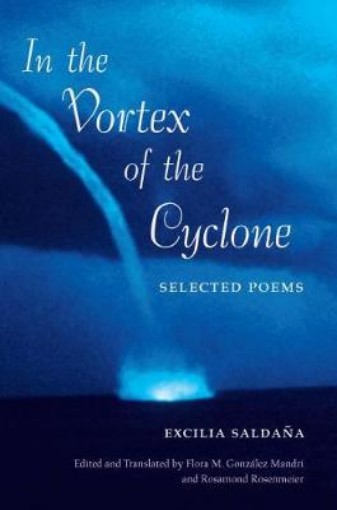 Picture of In the Vortex of the Cyclone