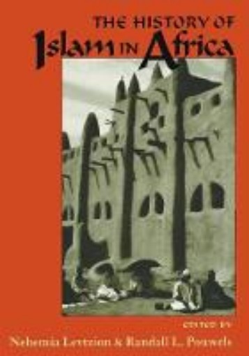 Picture of History of Islam in Africa
