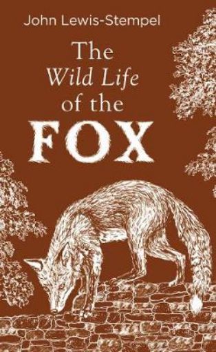 Picture of Wild Life of the Fox