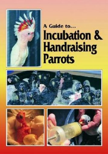 Picture of Incubation and Handraising Parrots