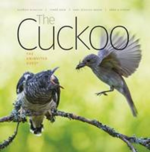 Picture of Cuckoo