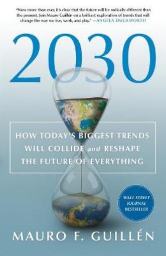 Picture of 2030: How Today's Biggest Trends Will Collide and Reshape the Future of Everything