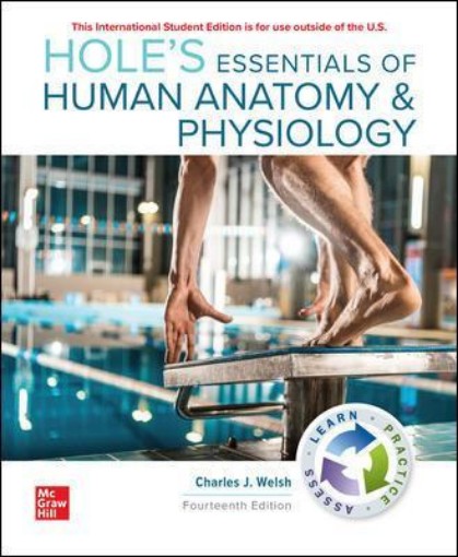 Picture of ISE Hole's Essentials of Human Anatomy & Physiology