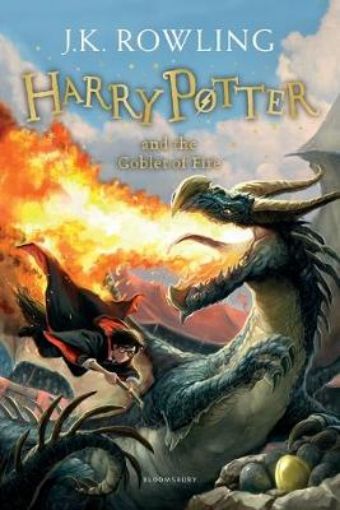 Picture of Harry Potter and the Goblet of Fire