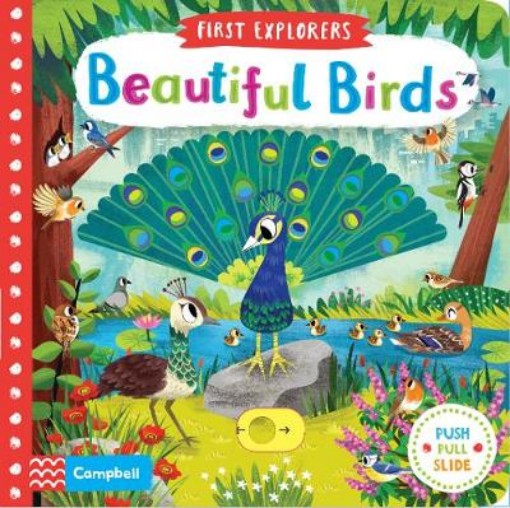 Picture of Beautiful Birds