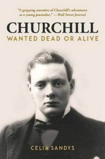 Picture of Churchill
