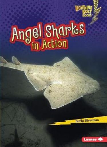 Picture of Angel Sharks in Action