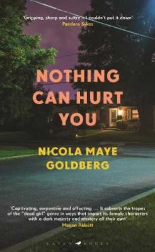 Picture of Nothing Can Hurt You
