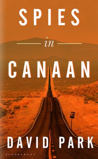 Picture of Spies in Canaan