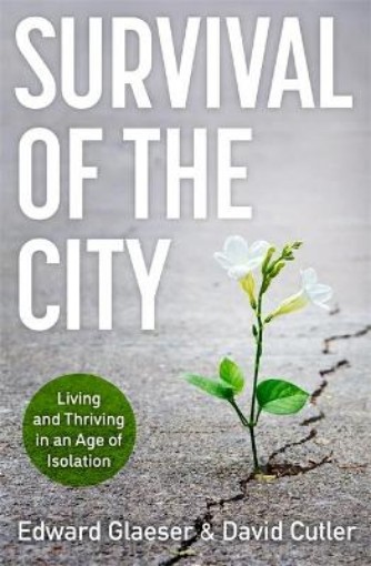 Picture of Survival of the City