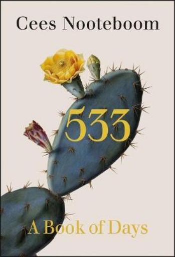 Picture of 533