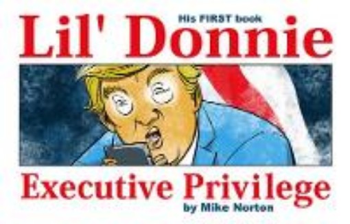 Picture of Lil' Donnie Volume 1: Executive Privilege