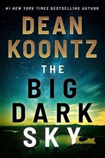 Picture of Big Dark Sky