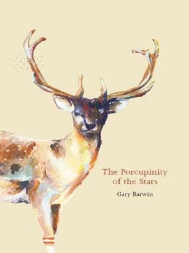 Picture of Porcupinity of the Stars