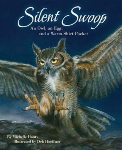 Picture of Silent Swoop