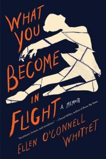 Picture of What You Become In Flight